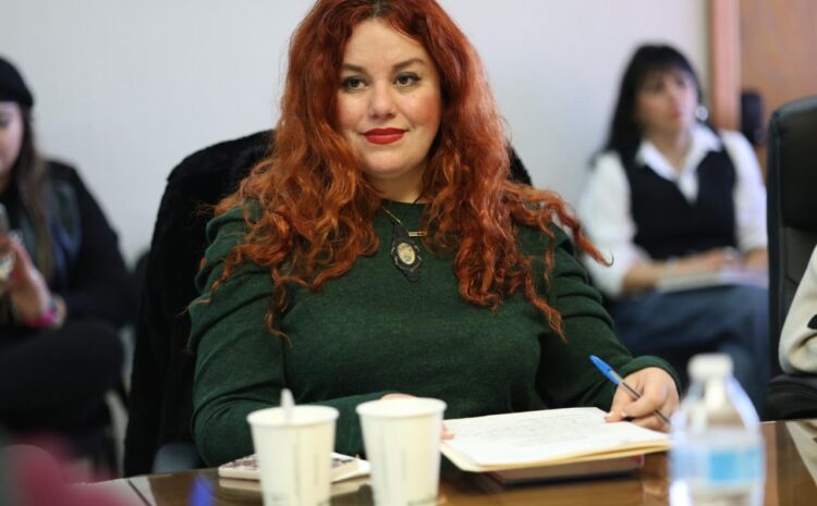  Presentan ante la Comisión de Cultura el Programa de Desarrollo Cultural de Centros Comunitarios