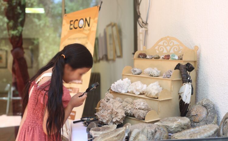  Familias juarenses disfrutan del taller “Jurassic Art” en el MAHCH