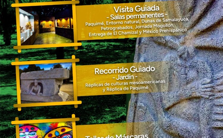 Alumnos del colegio Rayenare visitarán el Muso de Arqueología e Historia de El Chamizal