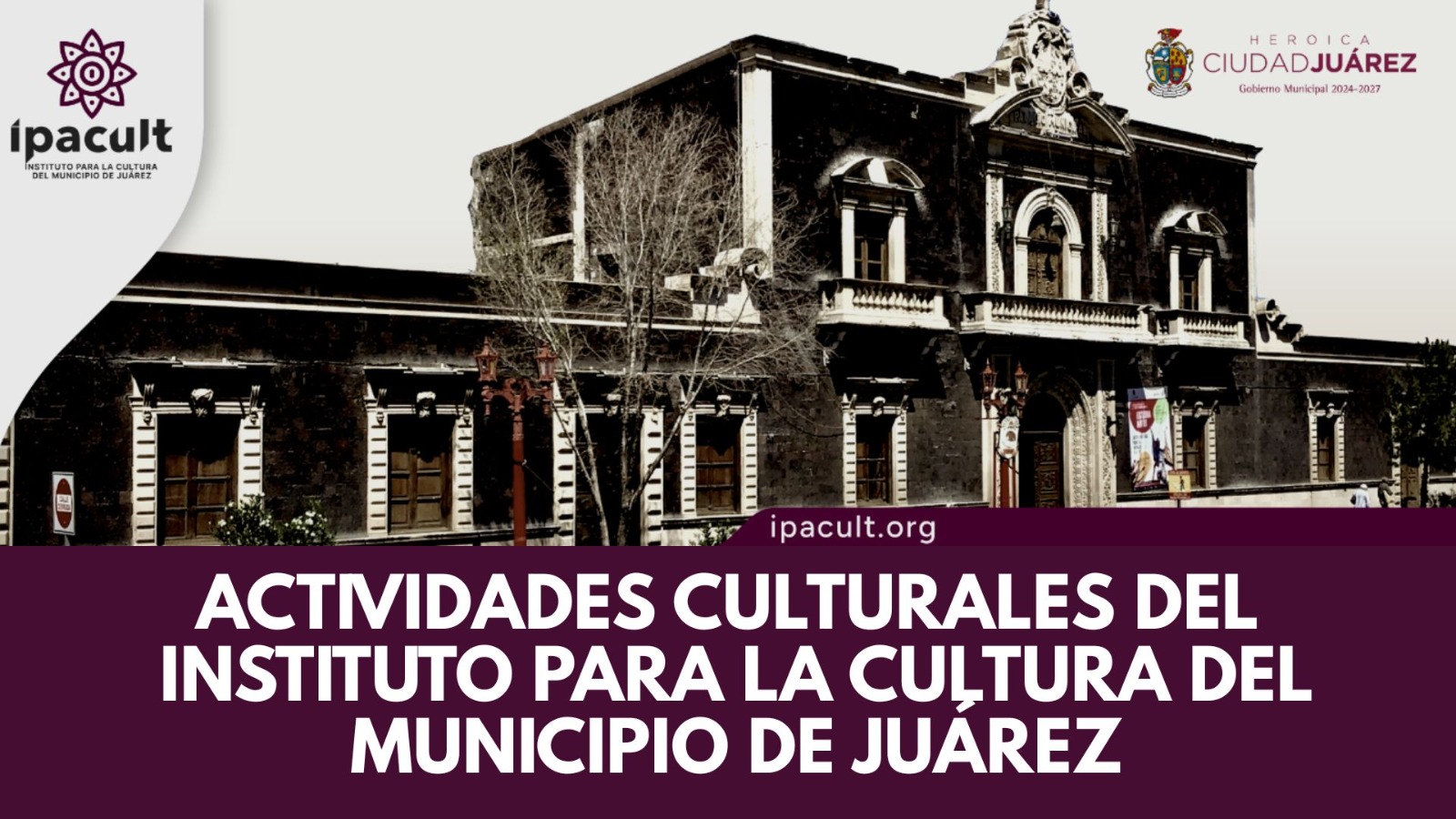 https://ipacult.org/author/marco/