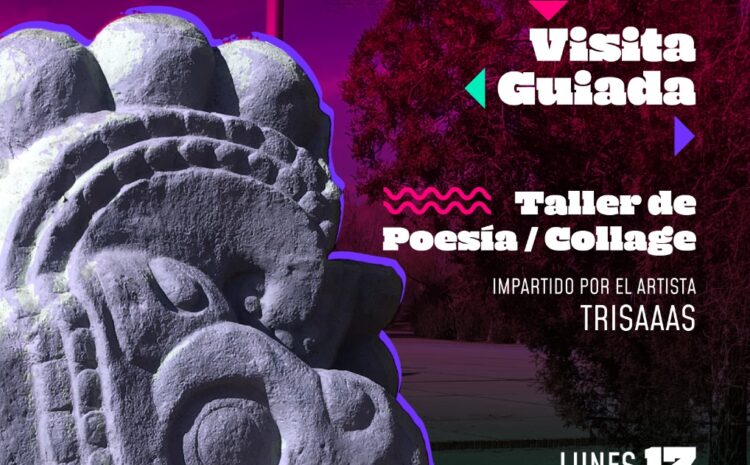  Invita IPACULT a disfrutar de una Noche de Museo en el MAHCH