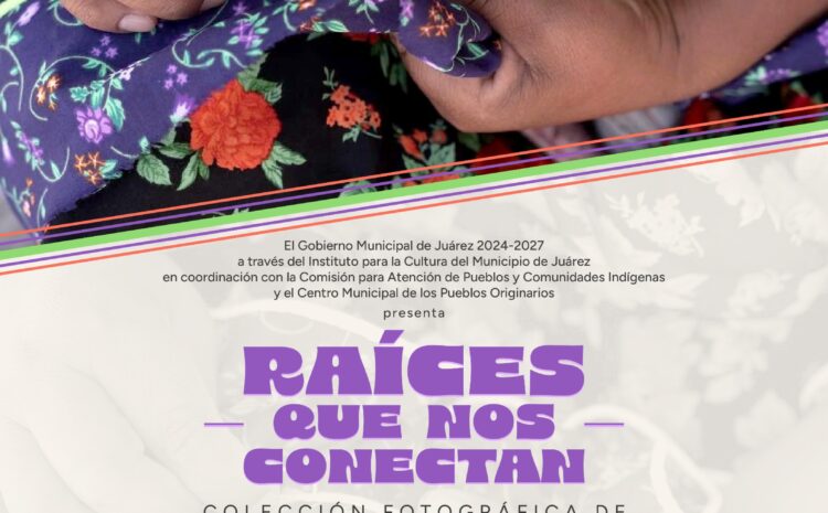  IPACULT invita a la inauguración de la exposición “Raíces que nos conectan” en el CEMPO